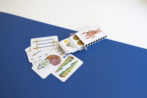 [CV] Cartes de Visite - Classiques